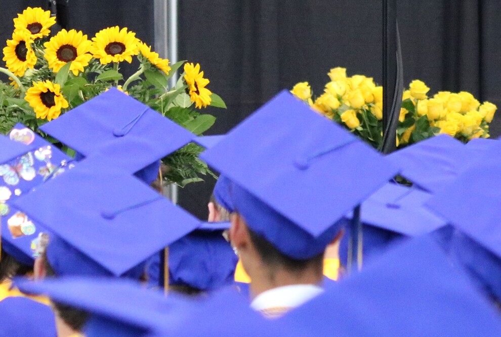 Back of Grads in blue grad hats with yellow sunflowers in front of them